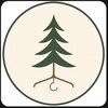 patchwork_pine